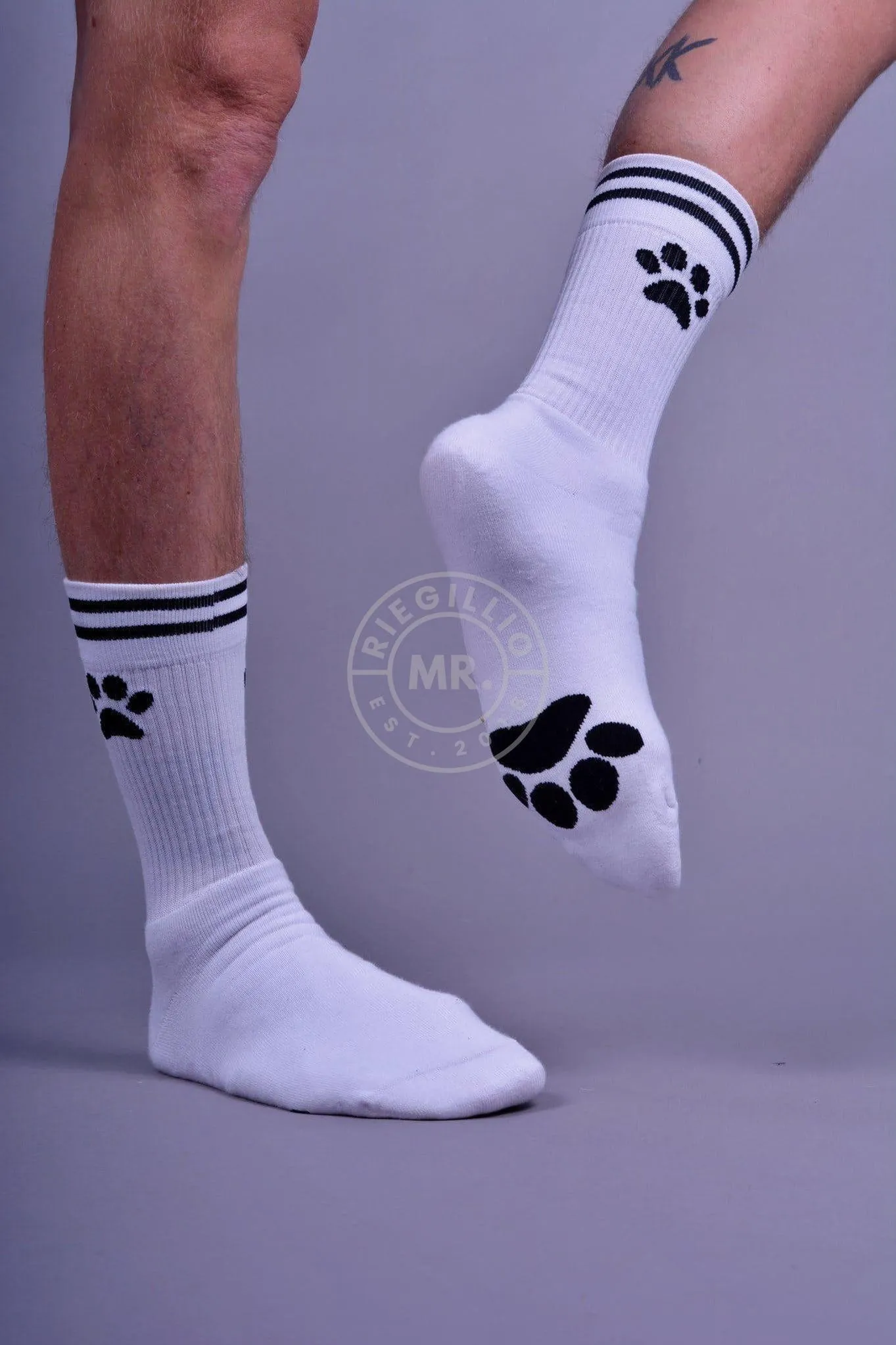 Sk8erboy PUPPY Socks White